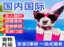 南阳姜营航空快运国际宠物托运 【国